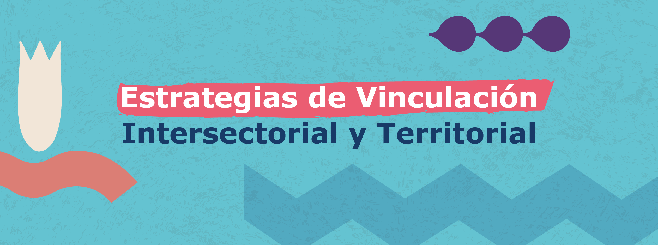 Estrategias de Vinculación Intersectorial y Territorial 