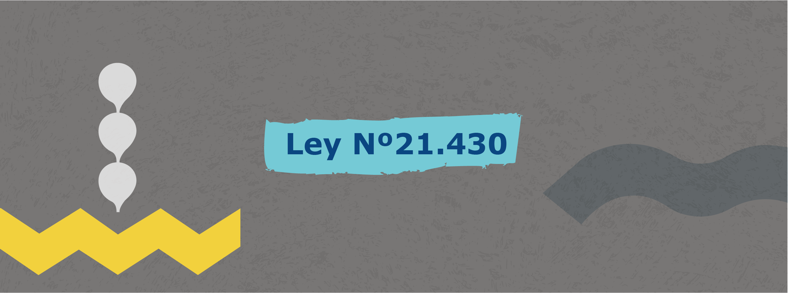 Ley N°21.430