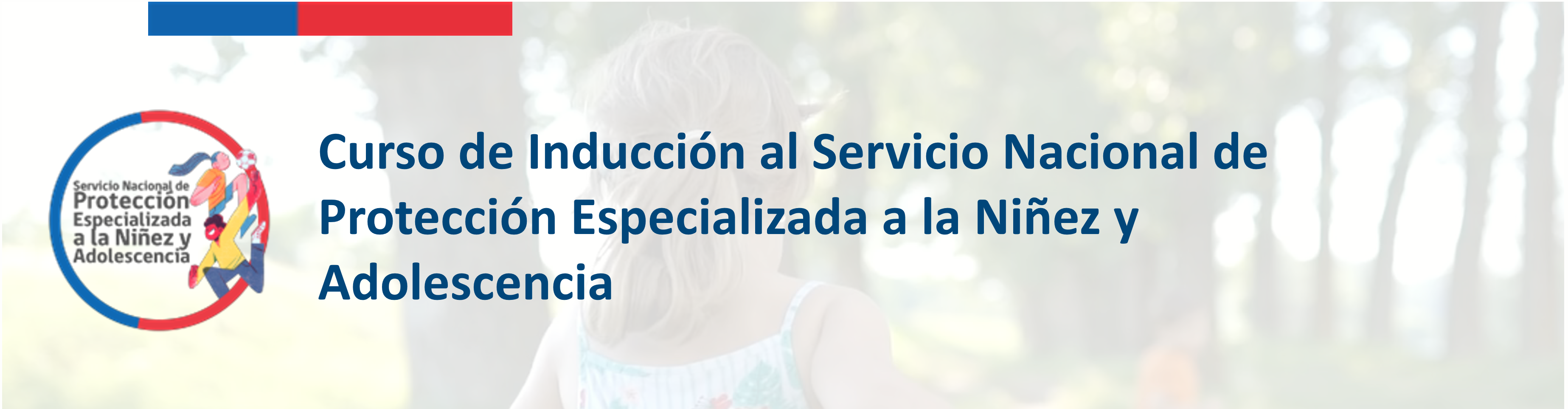 Inducción al Servicio Nacional de Protección Especializada (Programa 01)